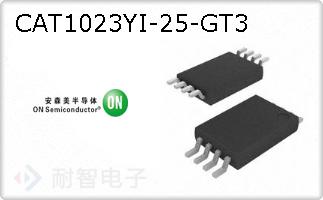 CAT1023YI-25-GT3