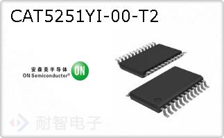 CAT5251YI-00-T2