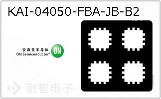 KAI-04050-FBA-JB-B2