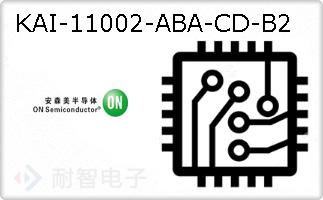 KAI-11002-ABA-CD-B2