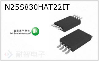 N25S830HAT22IT