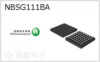 NBSG111BA